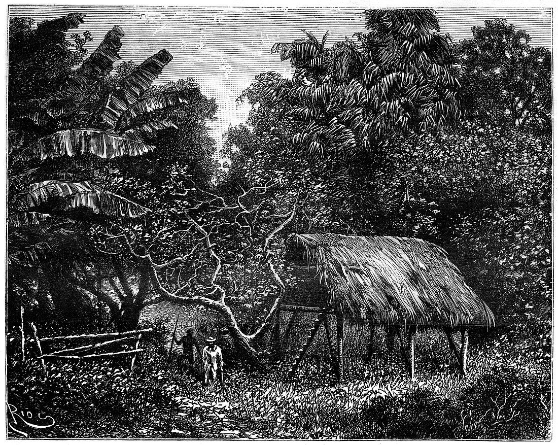 Guyana, South America, 19th century