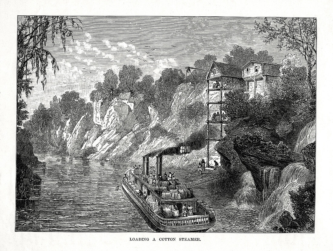 Loading a Cotton Steamer', 1877