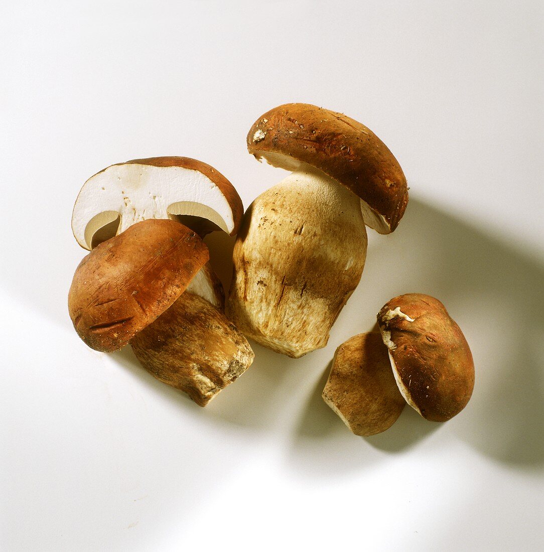 Three Ceps; One Sliced in Half