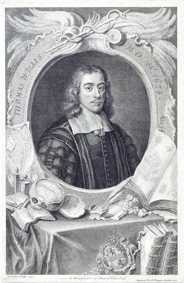 Thomas Willis, physician, 1742