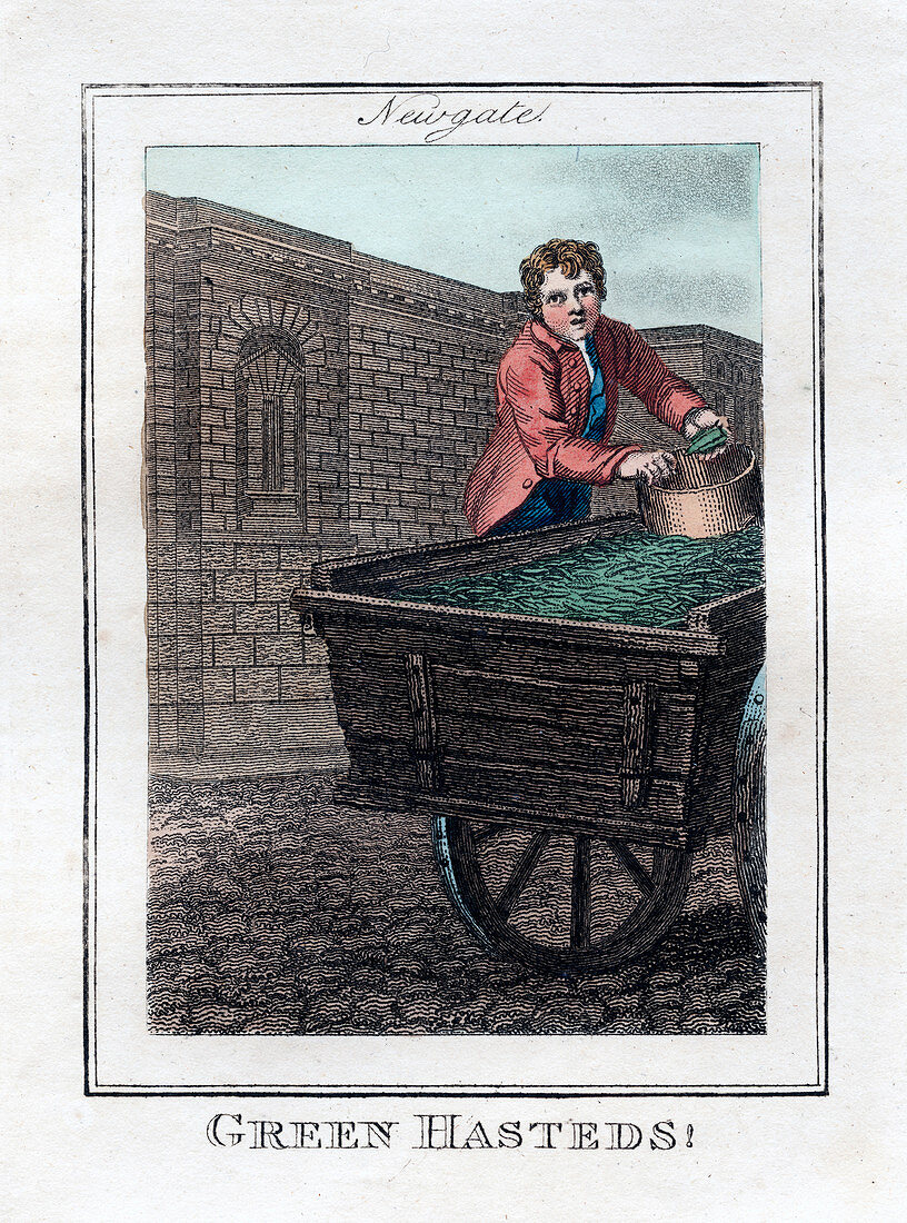 Green Hasteds', Newgate, London, 1805