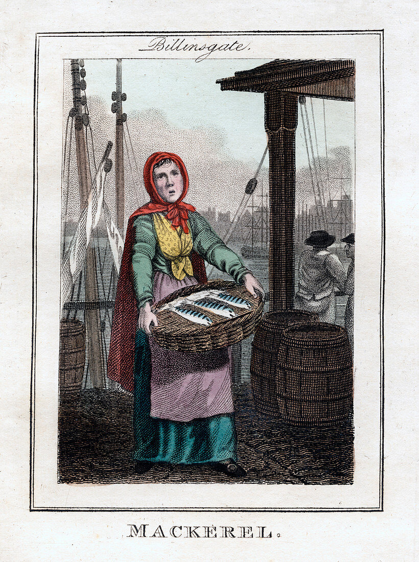 Mackerel', Billingsgate, London, 1805