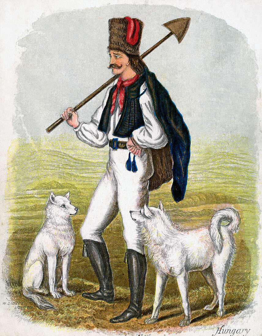 Hungarian Man with Dogs', 1809
