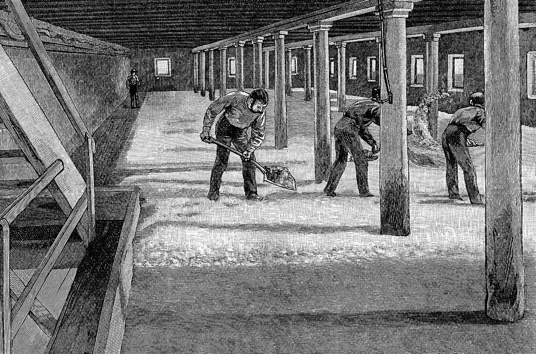 Malting floor in an American brewery, 1885