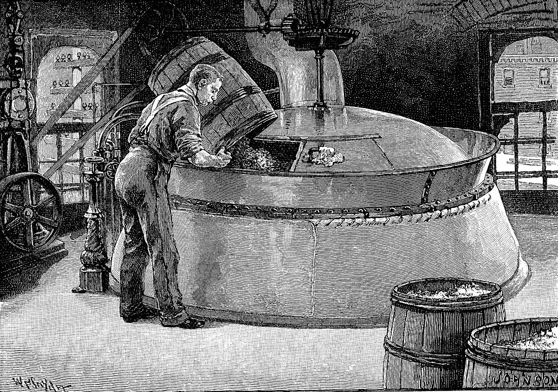 Adding hops to boiling beer in an American brewery, 1885