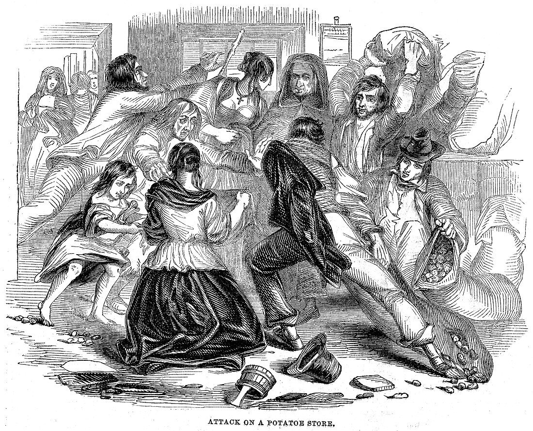 Irish Potato Famine, 1842