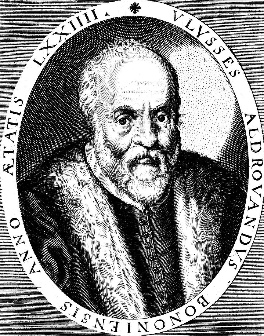 Ulisse Aldrovandi, Italian botanist and physician