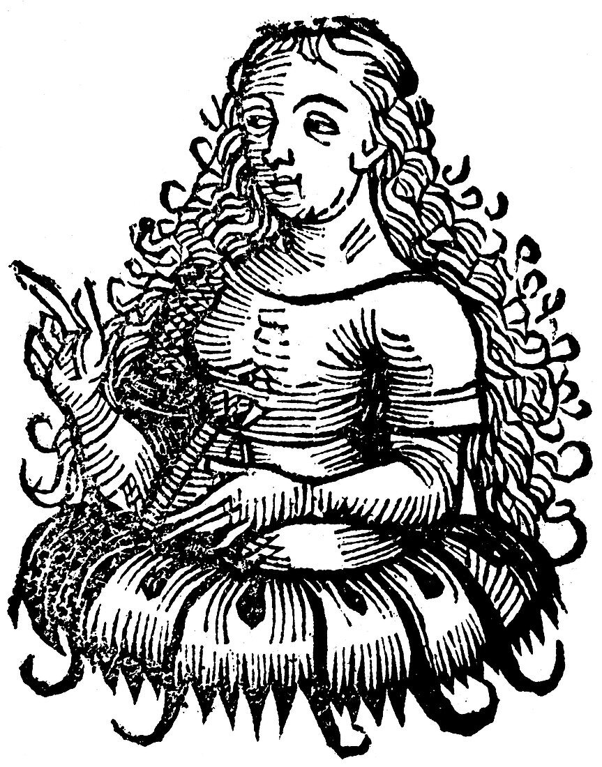Cimmerian Sibyl, 1493