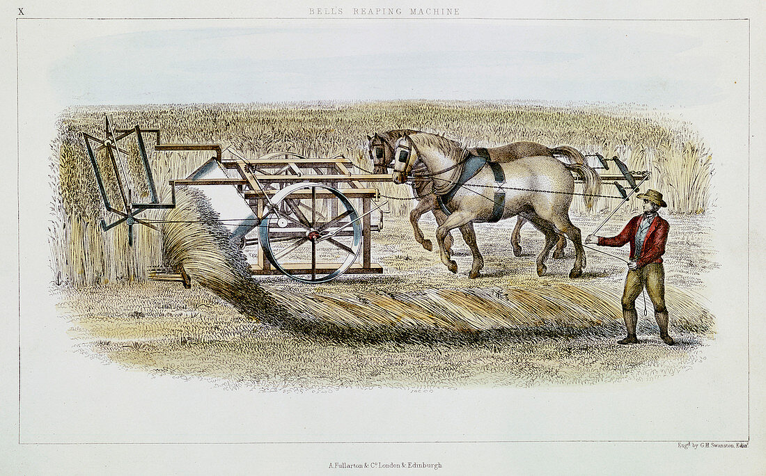 Bell's reaping machine, 1851