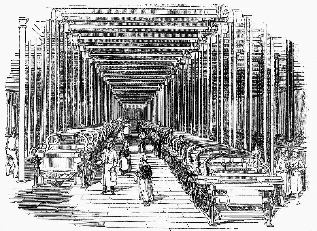 Weaving shed fitted with rows of power looms
