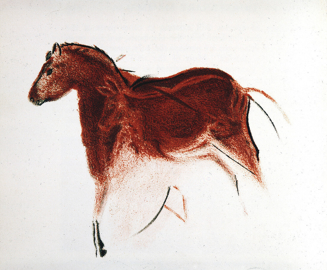 Palaeolithic cave painting from Altamira, southern Spain