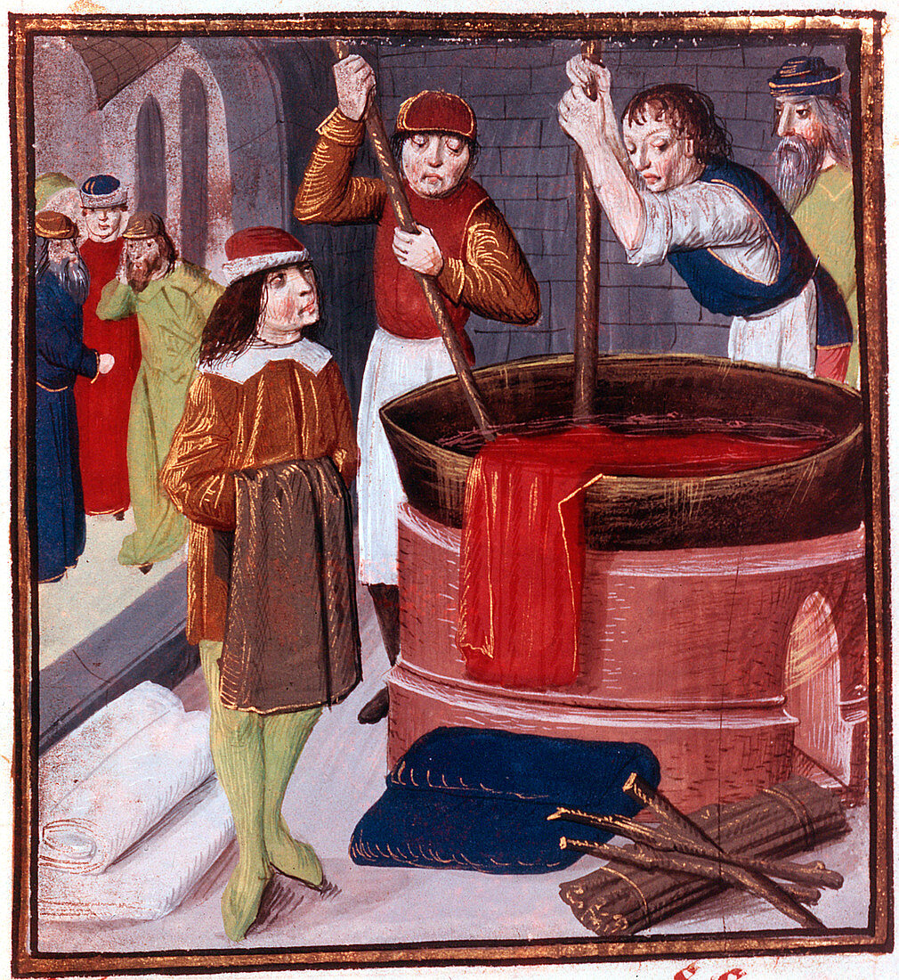 Dyers immersing bolt of cloth in vat of dye