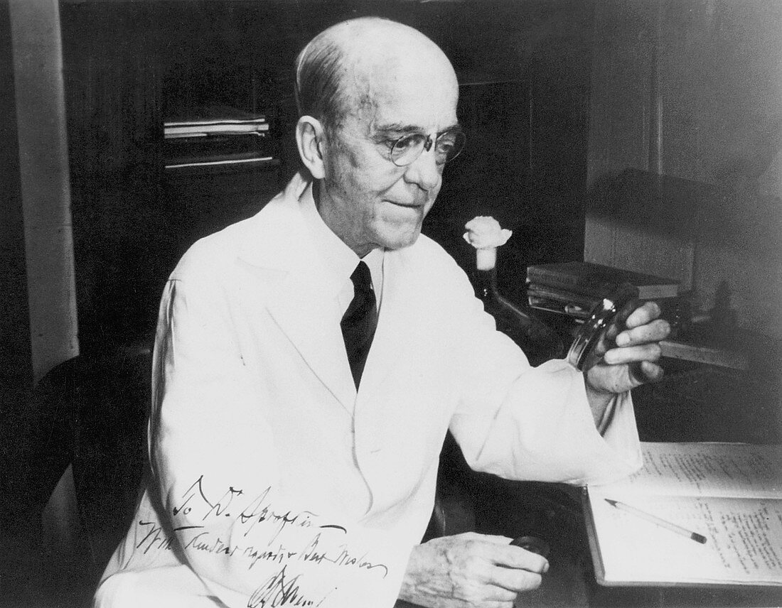 Oswald Theodore Avery, American bacteriologist