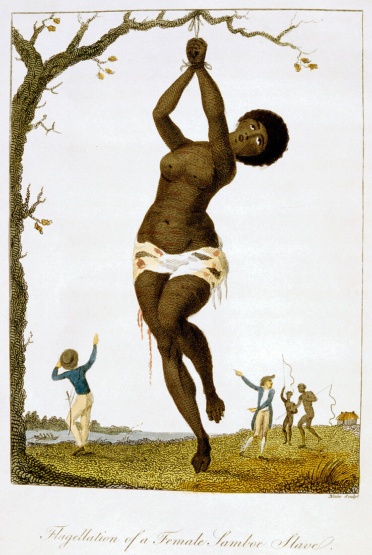 Flagellation of a Female Samboe Slave', 1793