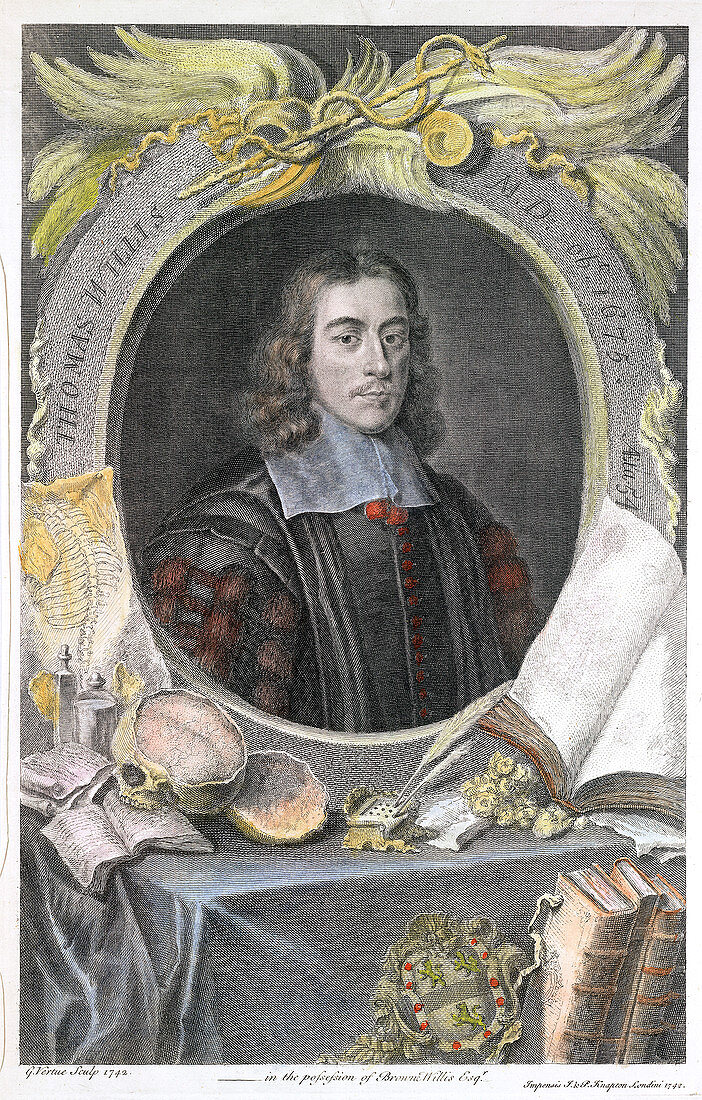 Thomas Willis, 17th century English physician, 1742