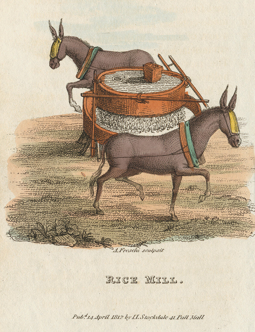 Rice Mill', 1813