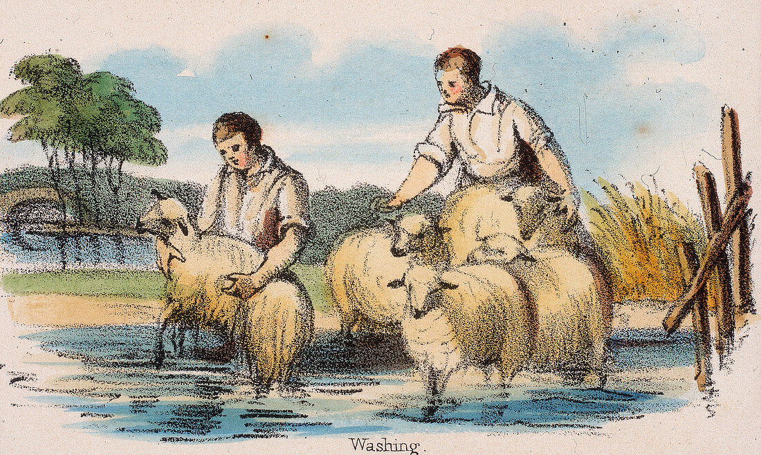 Washing', c1845