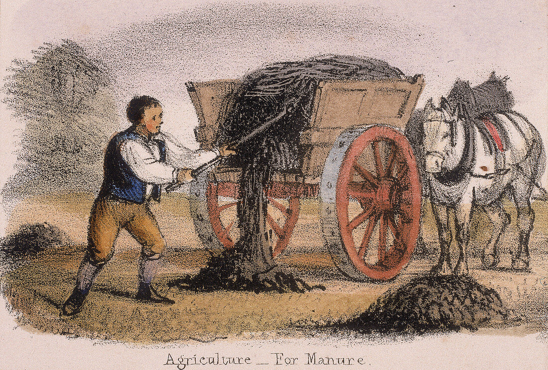 Agriculture, for Manure', c1845