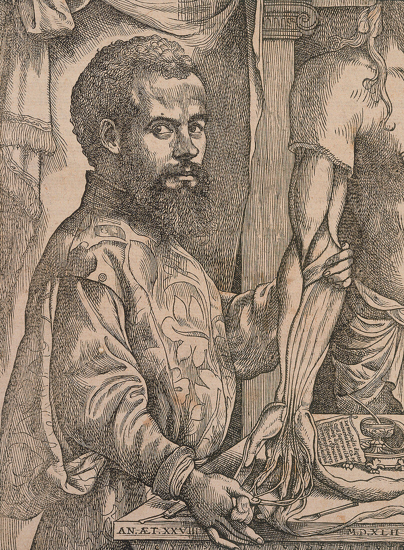 Andreas Vesalius dissecting the muscles of the forearm