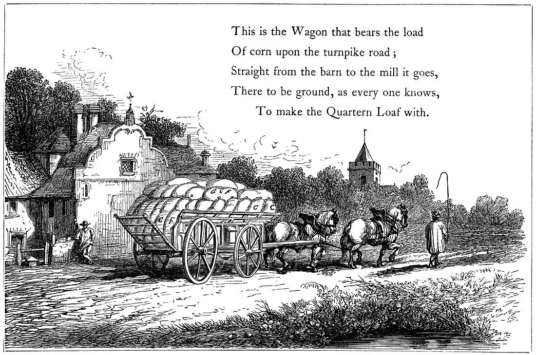 Wagon loaded with sacks of corn on the road to a flour mill