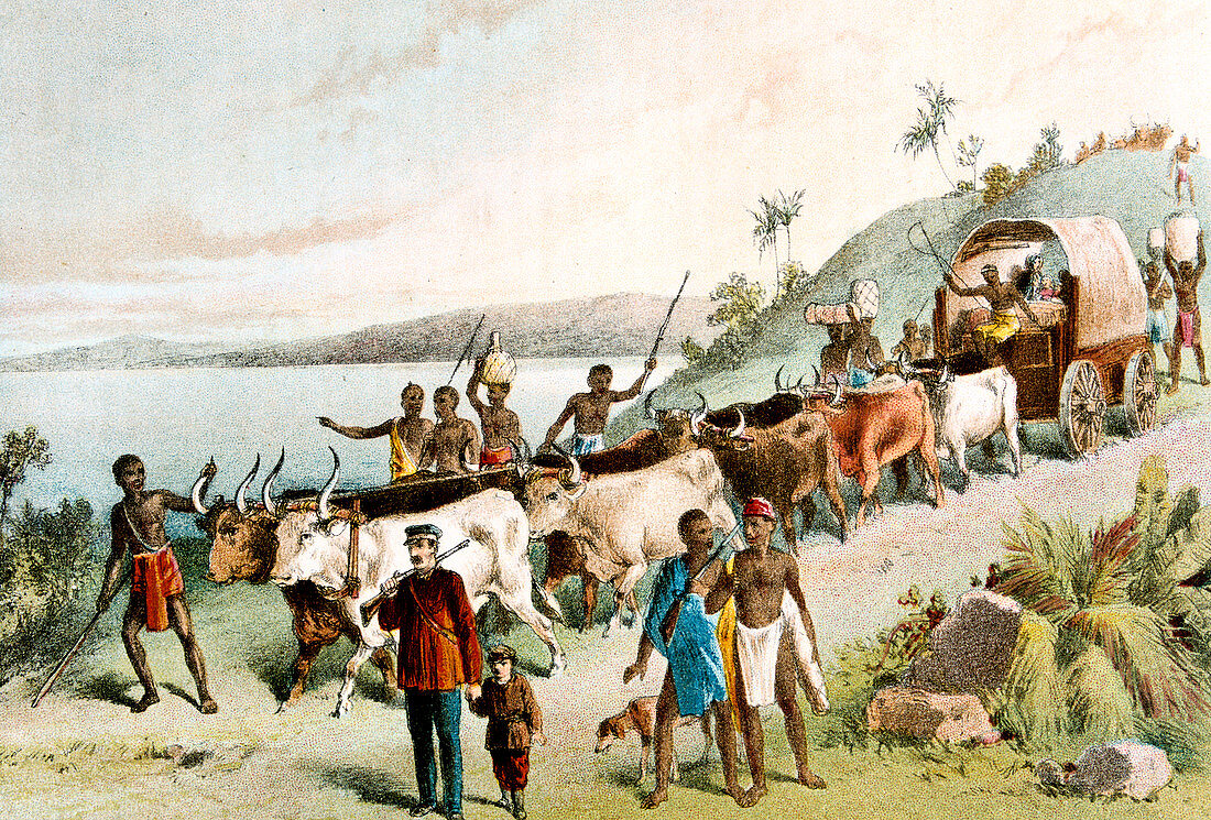 David Livingstone, Scottish missionary and African explorer