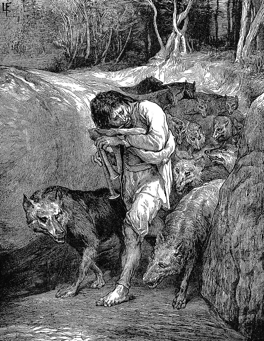 The Wolf-Charmer', 1881