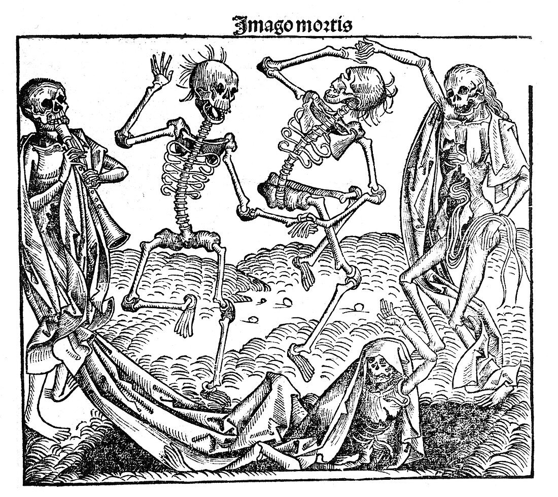 Death triumphant, 1493