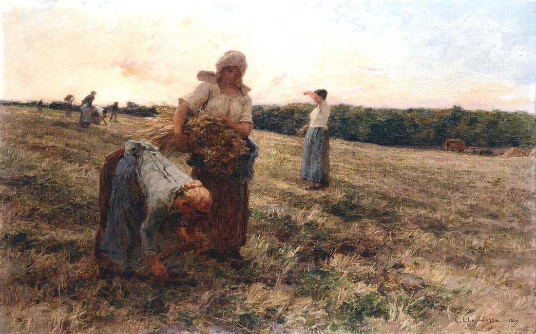 Gleaners at Sunset', 1889