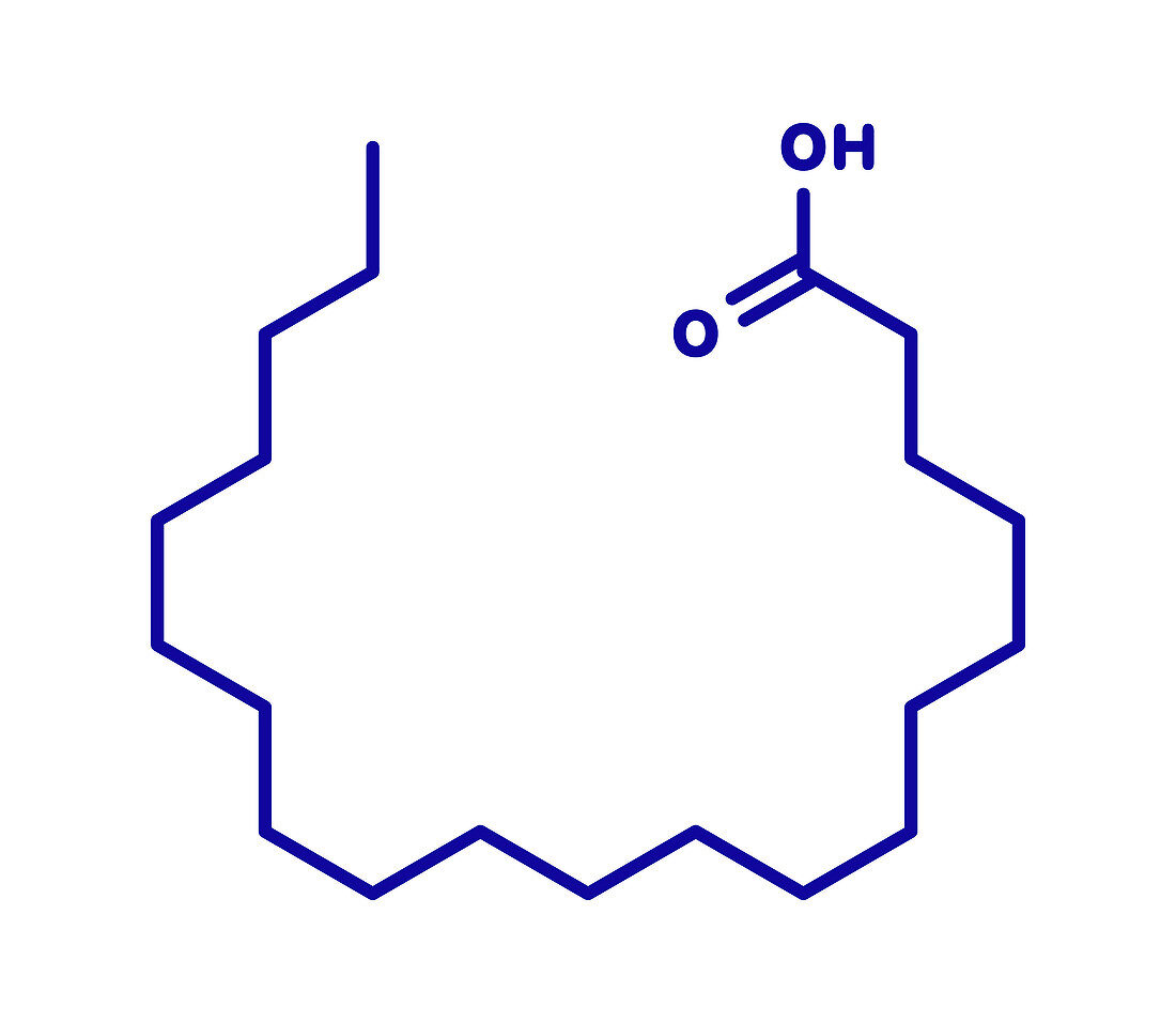Arachidic acid molecule