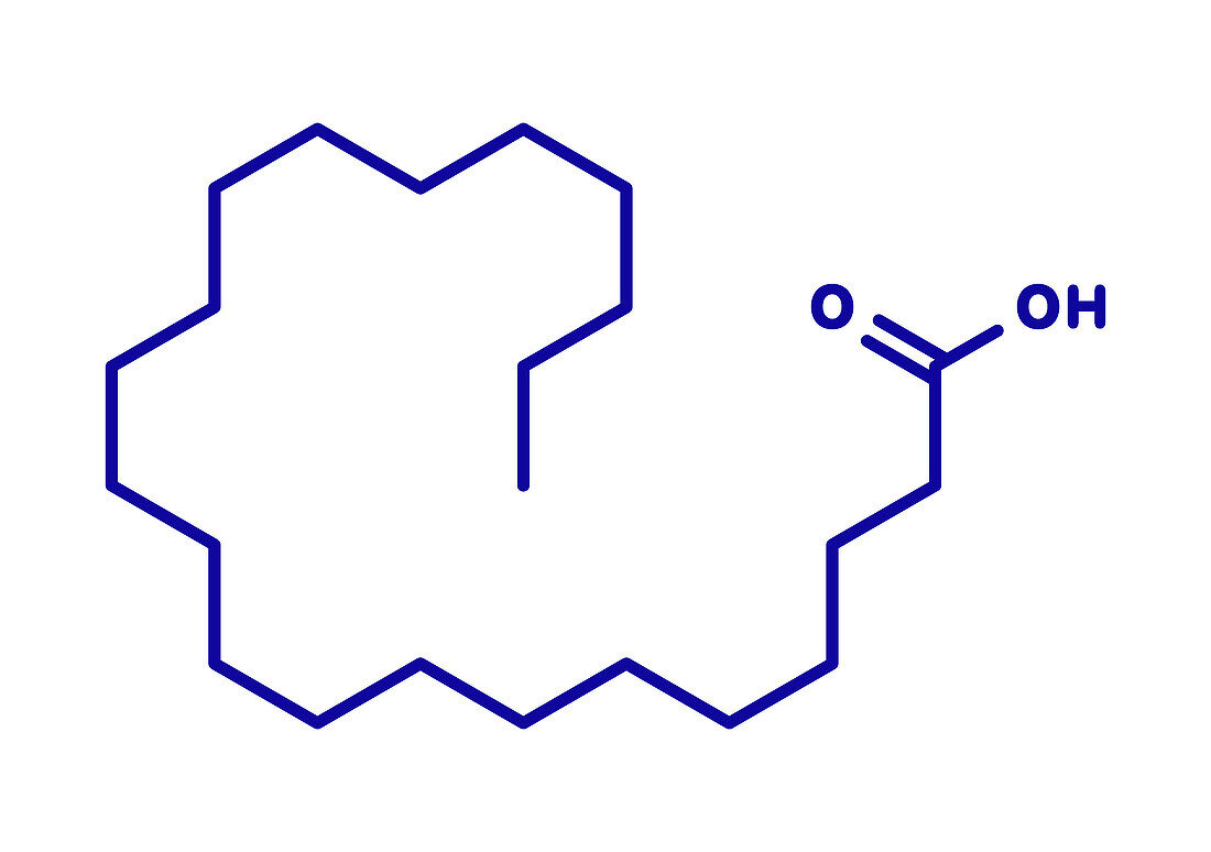 Behenic acid saturated fatty acid molecule