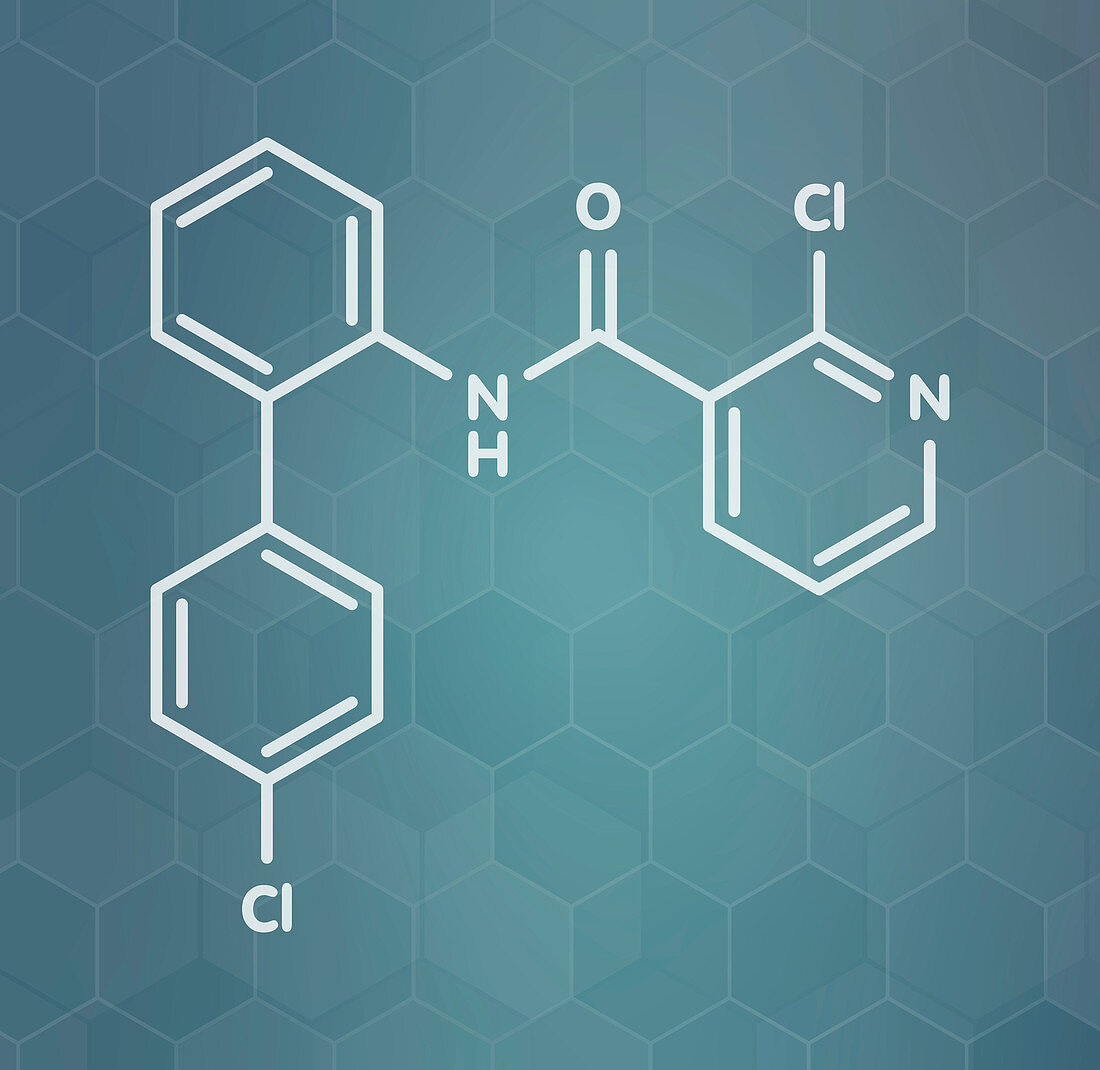 Boscalid fungicide molecule