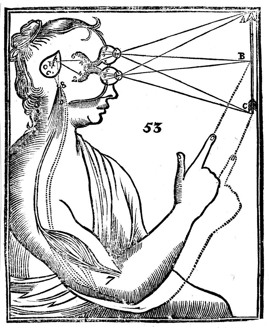 Descartes' idea of vision, 1692