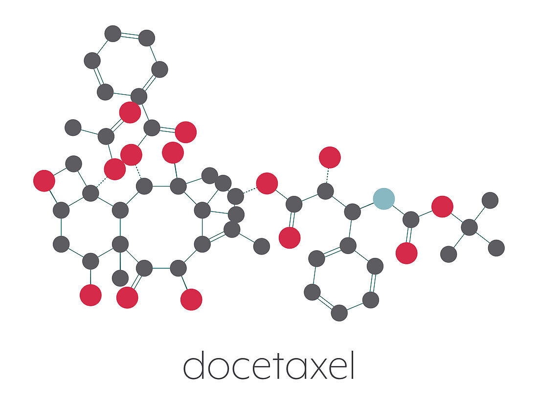 Docetaxel chemotherapy drug molecule