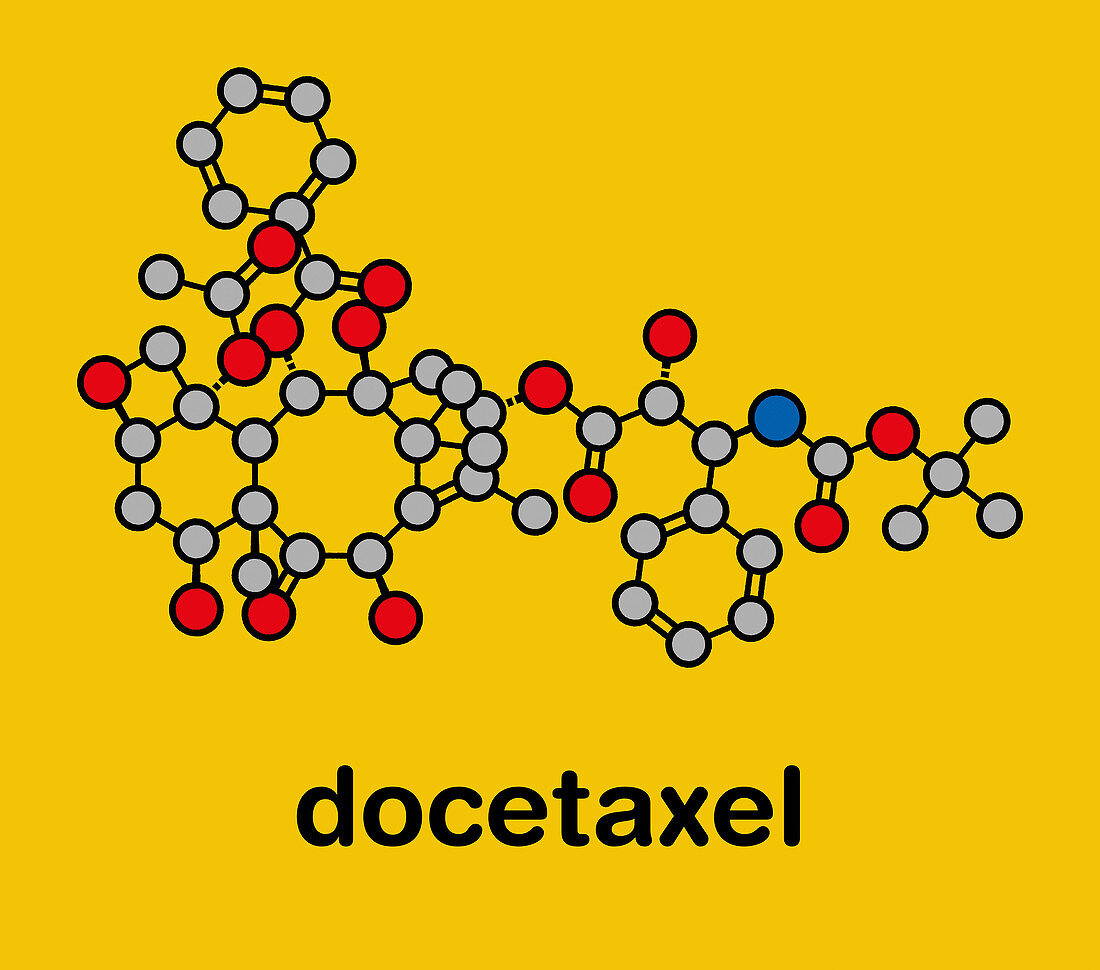 Docetaxel chemotherapy drug molecule