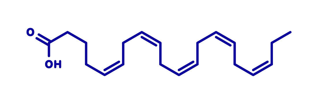 Eicasapentaenoic acid molecule