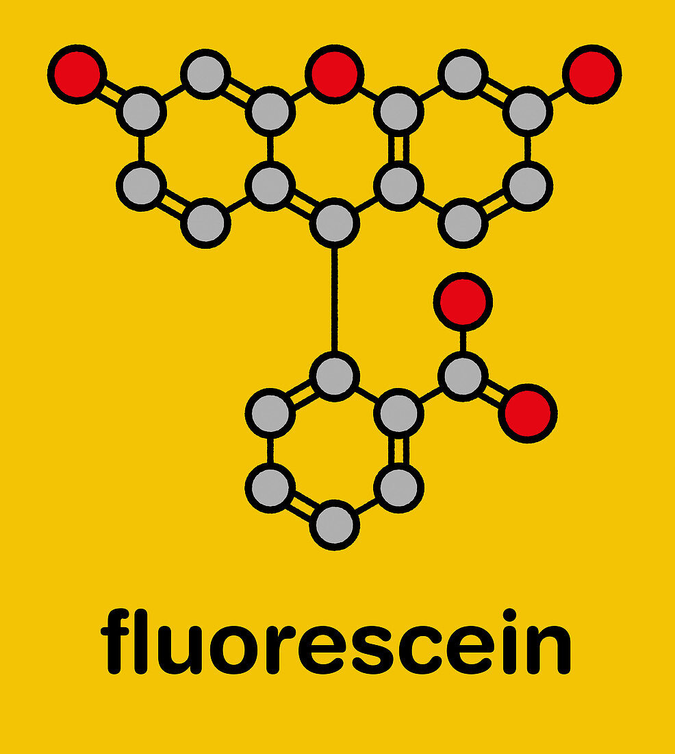 Fluorescein fluorescent molecule
