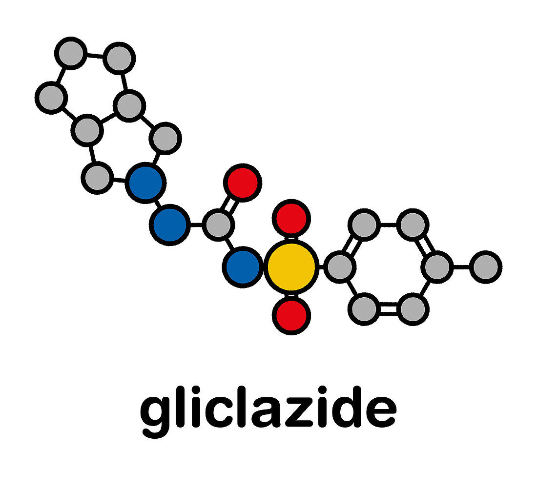 Gliclazide diabetes drug molecule