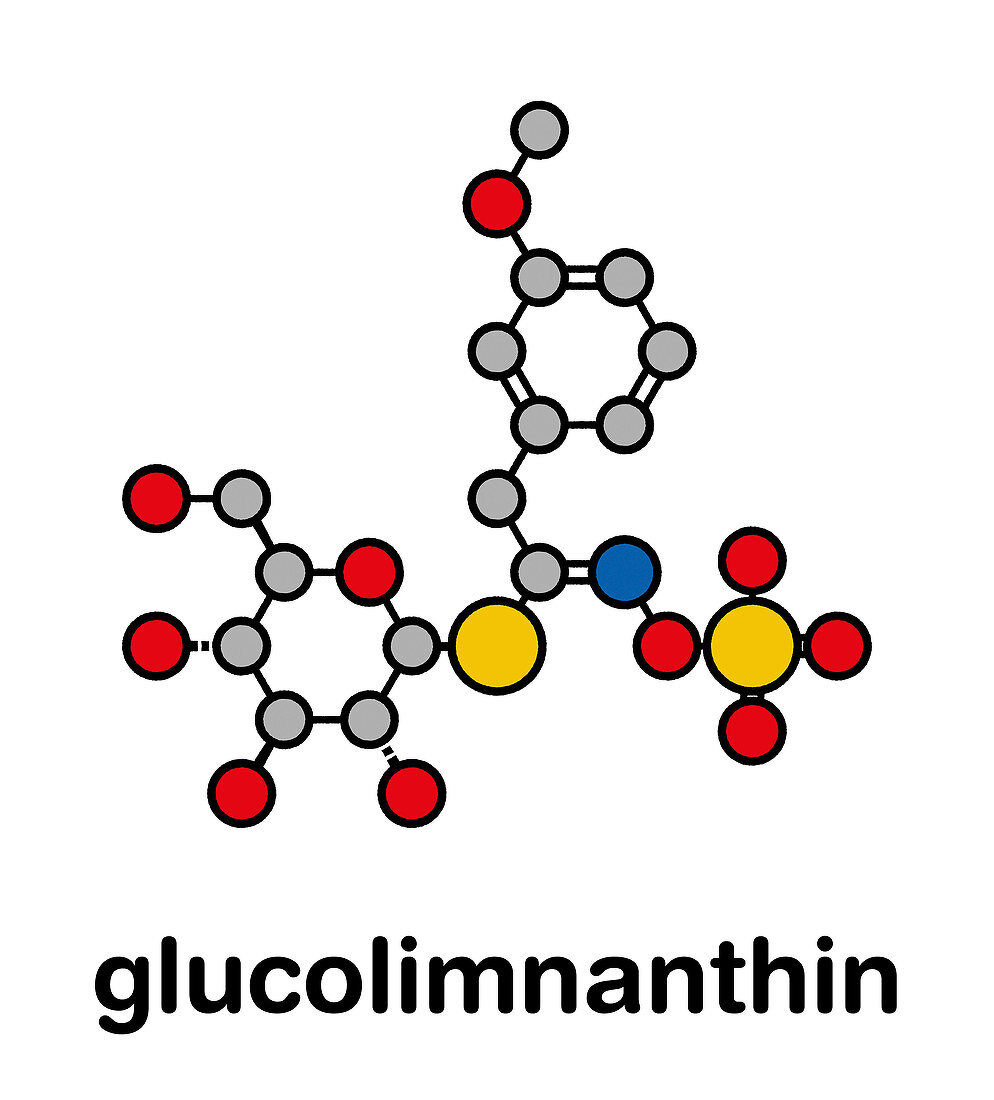 Glucolimnanthin herbal molecule