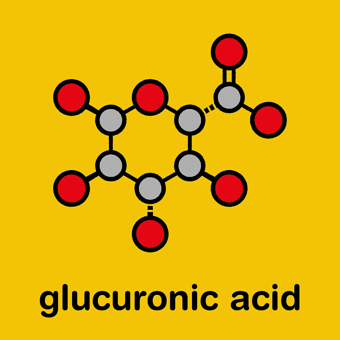 Glucuronic acid molecule