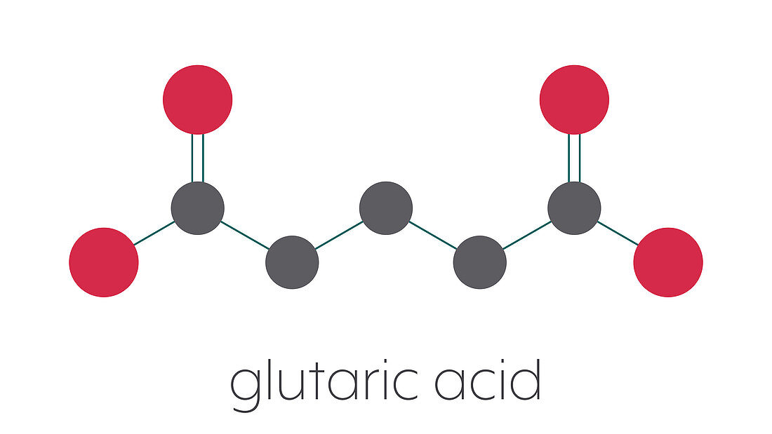 Glutaric acid molecule