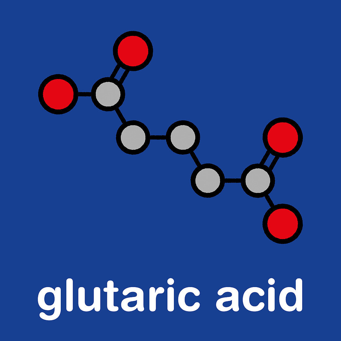 Glutaric acid molecule