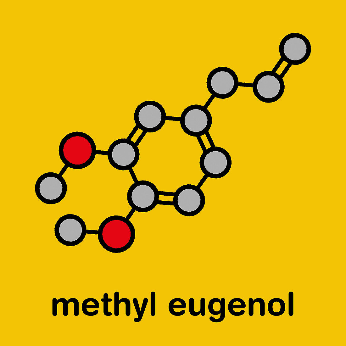 Methyl eugenol molecule