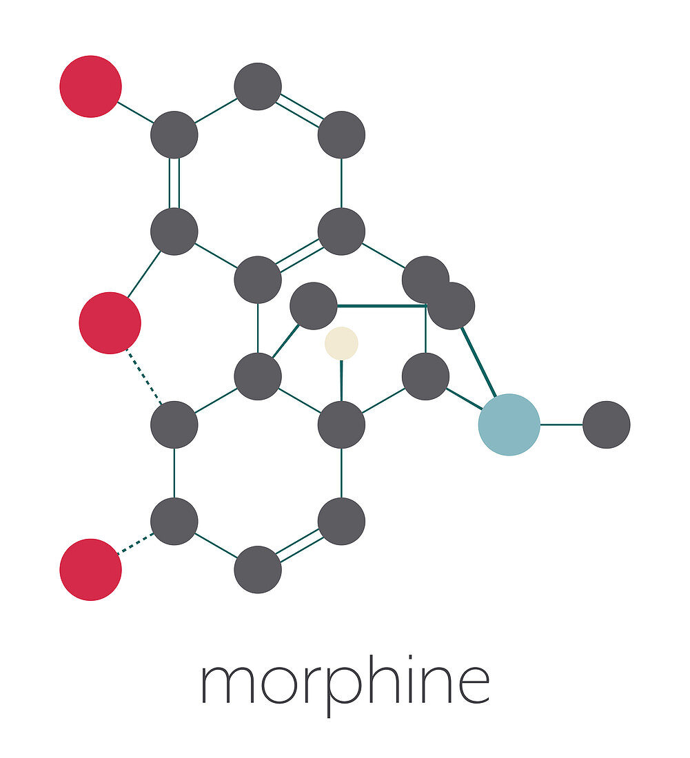 Morphine pain drug molecule