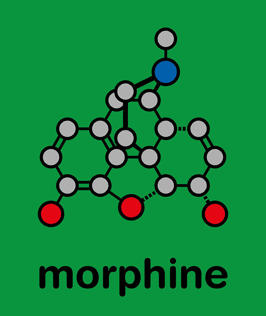 Morphine pain drug molecule