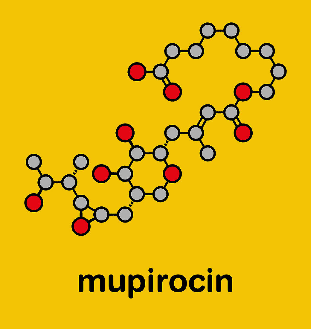 Mupirocin antibiotic drug molecule