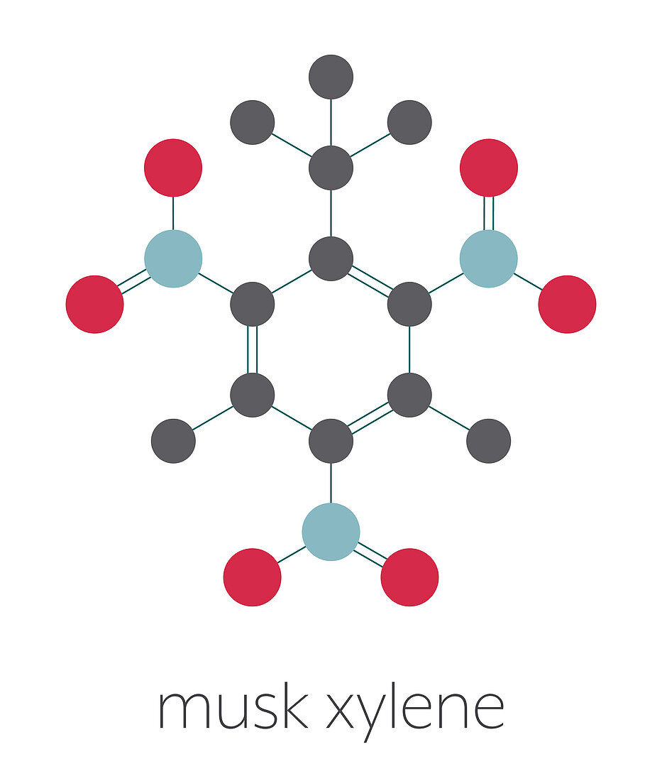 Musk xylene molecule