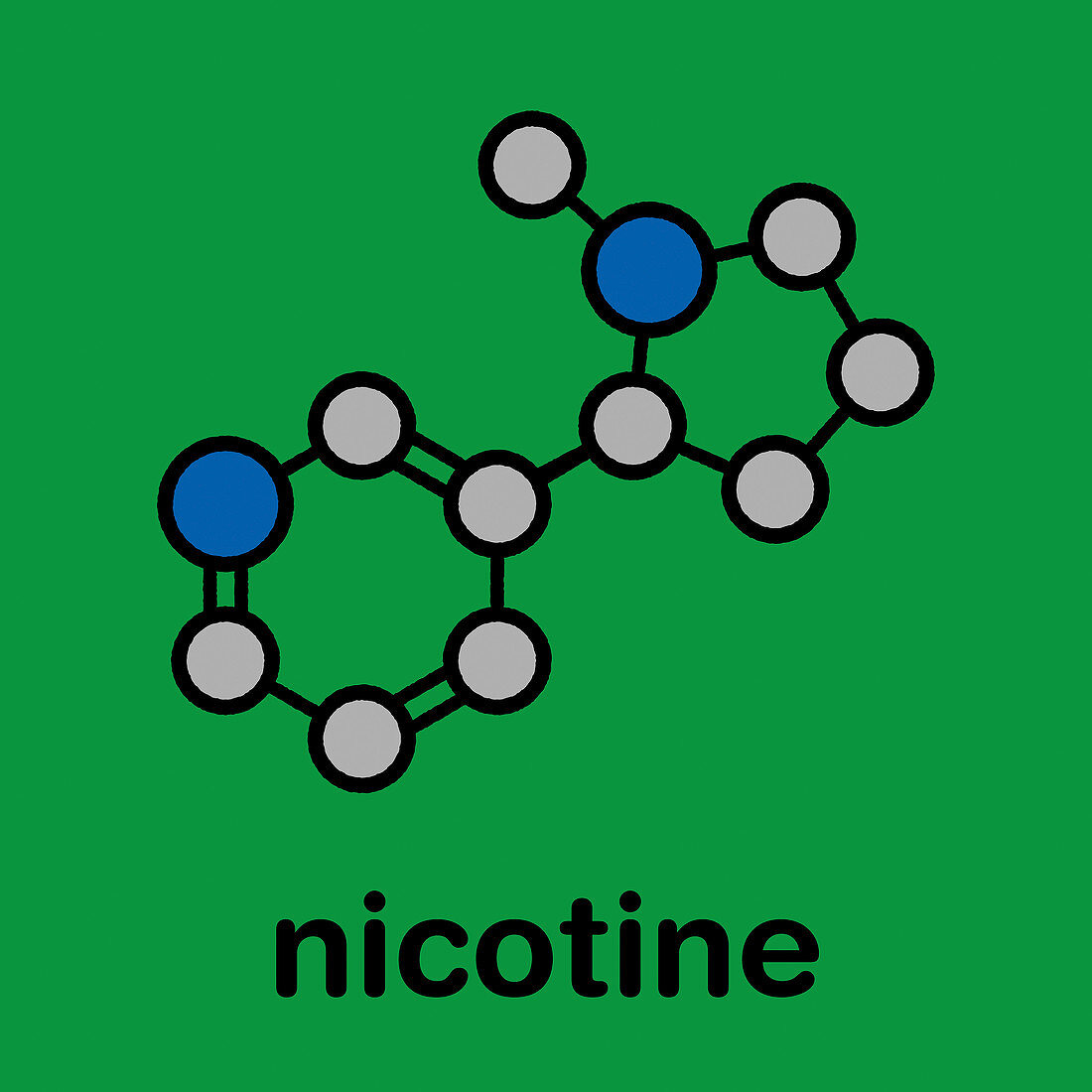Nicotine tobacco stimulant molecule