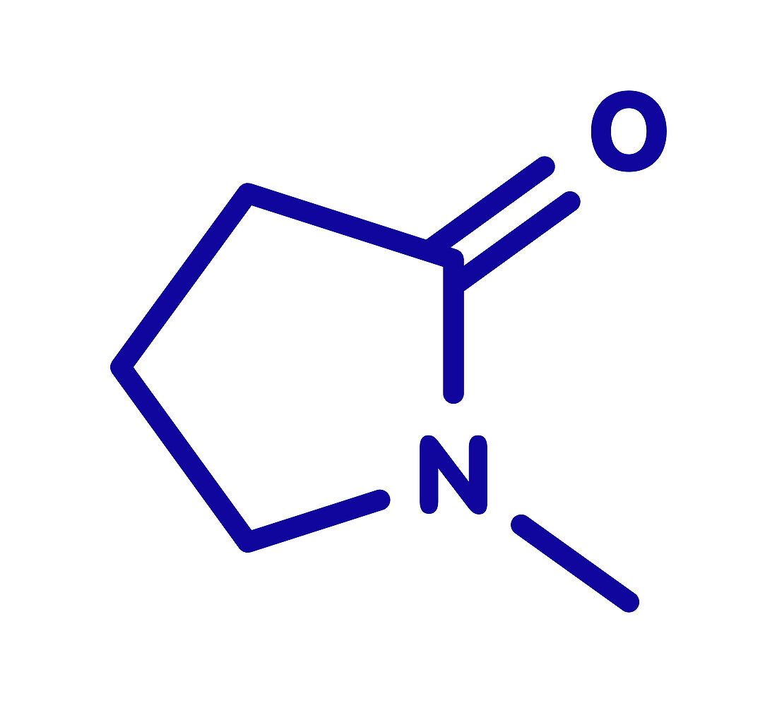 NMP solvent molecule