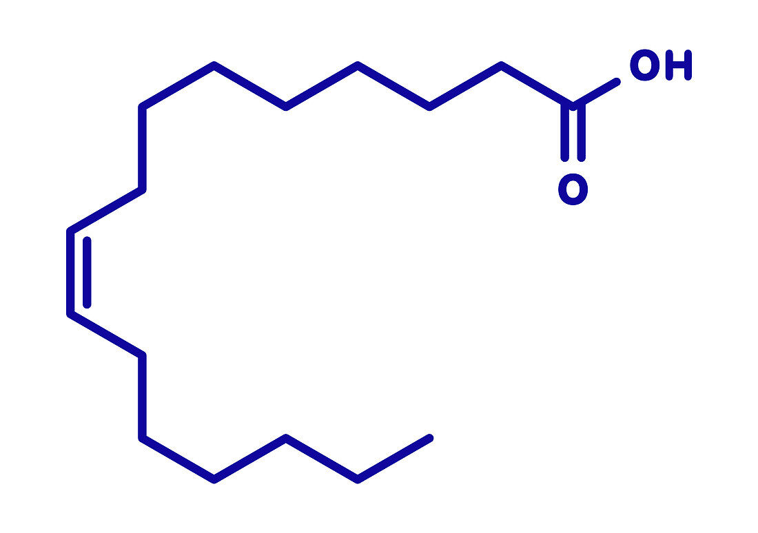 Palmitoleic acid omega-7 fatty acid molecule