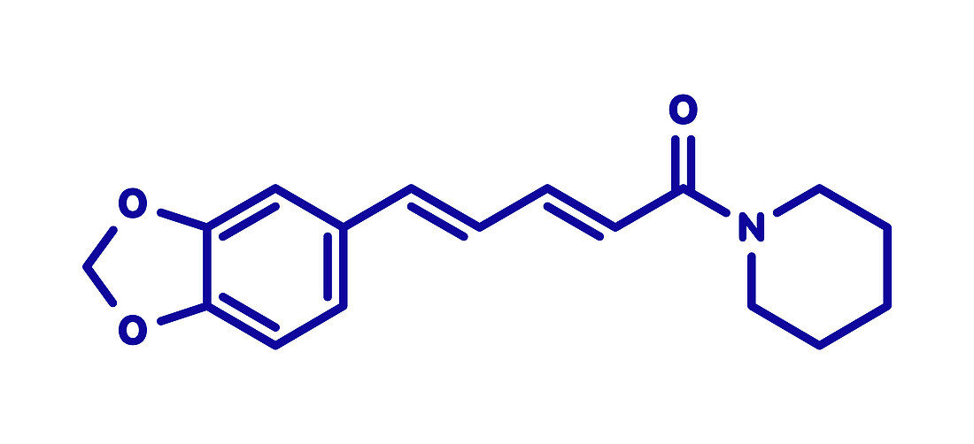 Piperine black pepper molecule